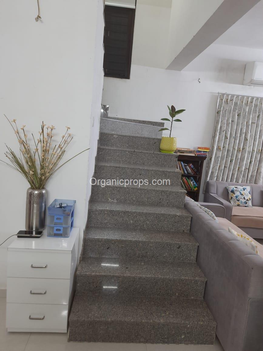 WhatsApp Image 2023-12-06 at 1220231206182747484.jpeg